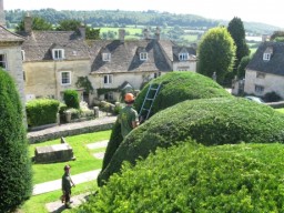John and Bob trimming the Painswick Yew trees