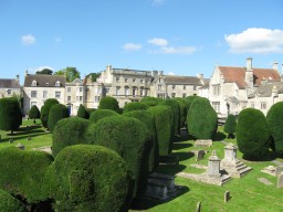 Clients - the Painswick Yews