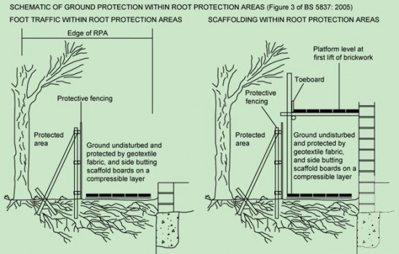 Root protection diagram from BS 5837: 2005