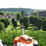 View from the Painswick Yews