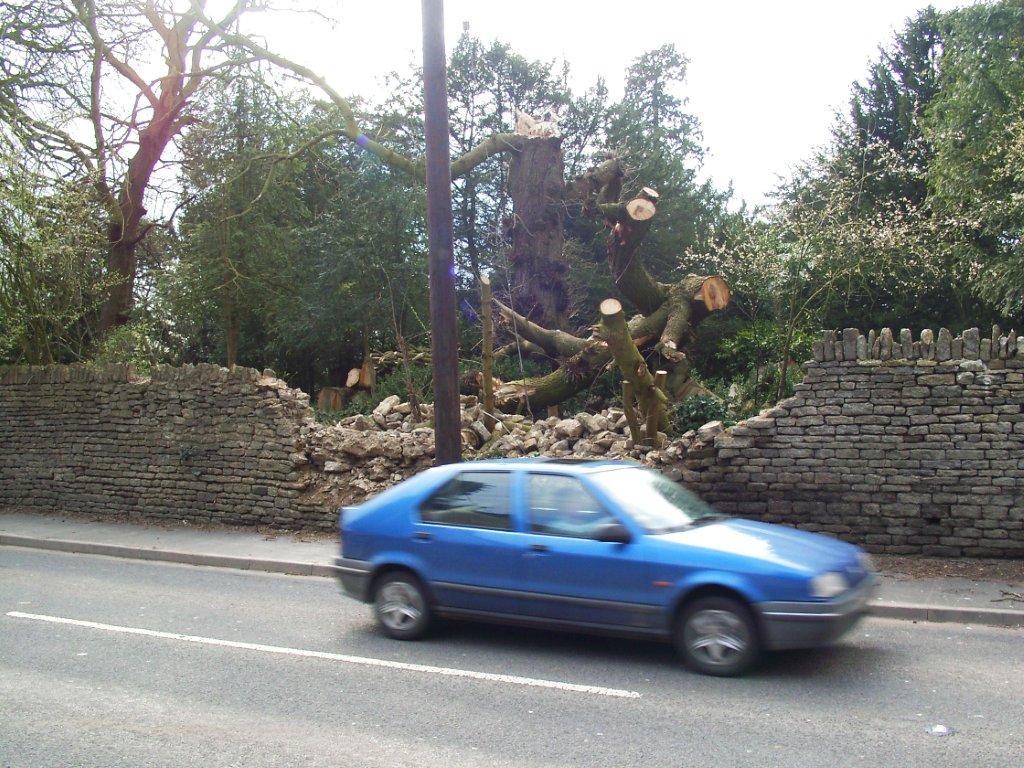 A fallen tree by a road A fallen tree by a road