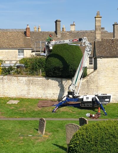 Our MEWP (Mobile Elevated Work Platform) can significantly improve safety in arboriculture