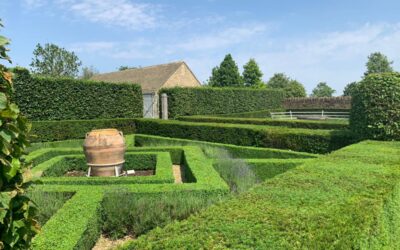 Hedge Trimming in a Formal Garden